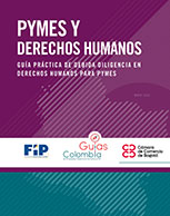 Pymes y Derechos Humanos - Guía Práctica de Debida Diligencia en Derechos Humanos para Pymes
