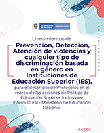 Lineamientos de Prevención, Detección, Atención de violencias y cualquier tipo de discriminación basada en género en Instituciones de Educación Superior (IES), para el desarrollo de Protocolos en el m