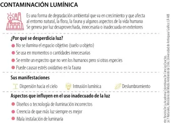 Contaminación lumínica: factor que impacta en los ciclos naturales de especies 