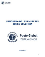 Panorama de las Empresas BIC en Colombia
