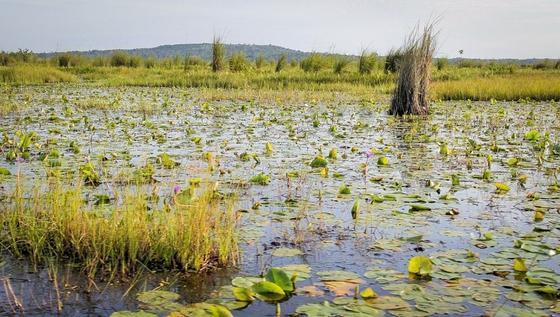 CambioClimaticoMujeres