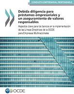 DebidaDiligenciaPrestamosEmpresariales