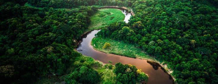 BancoBogotaSostenibleMundo