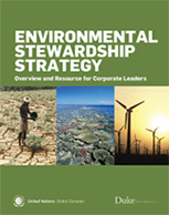Environmental Stewardship Strategy - Overview and Resource for Corporate Leaders