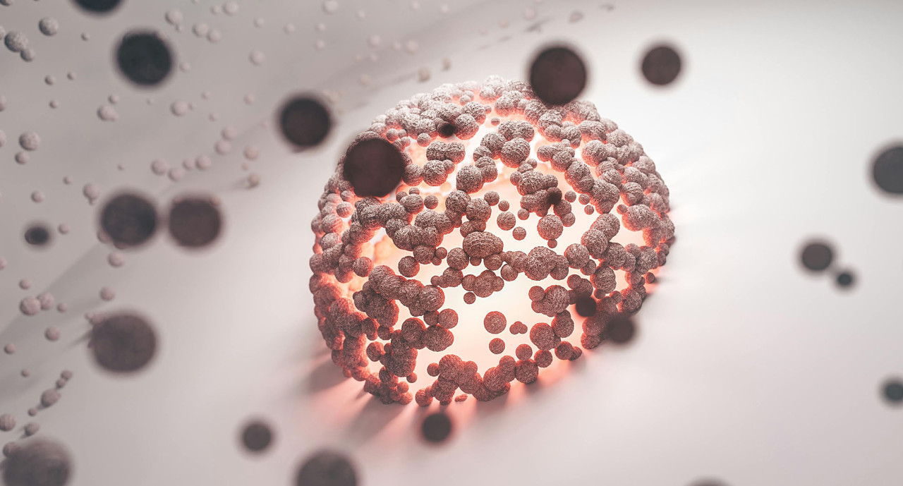 Es necesario recuperar el coeficiente intelectual