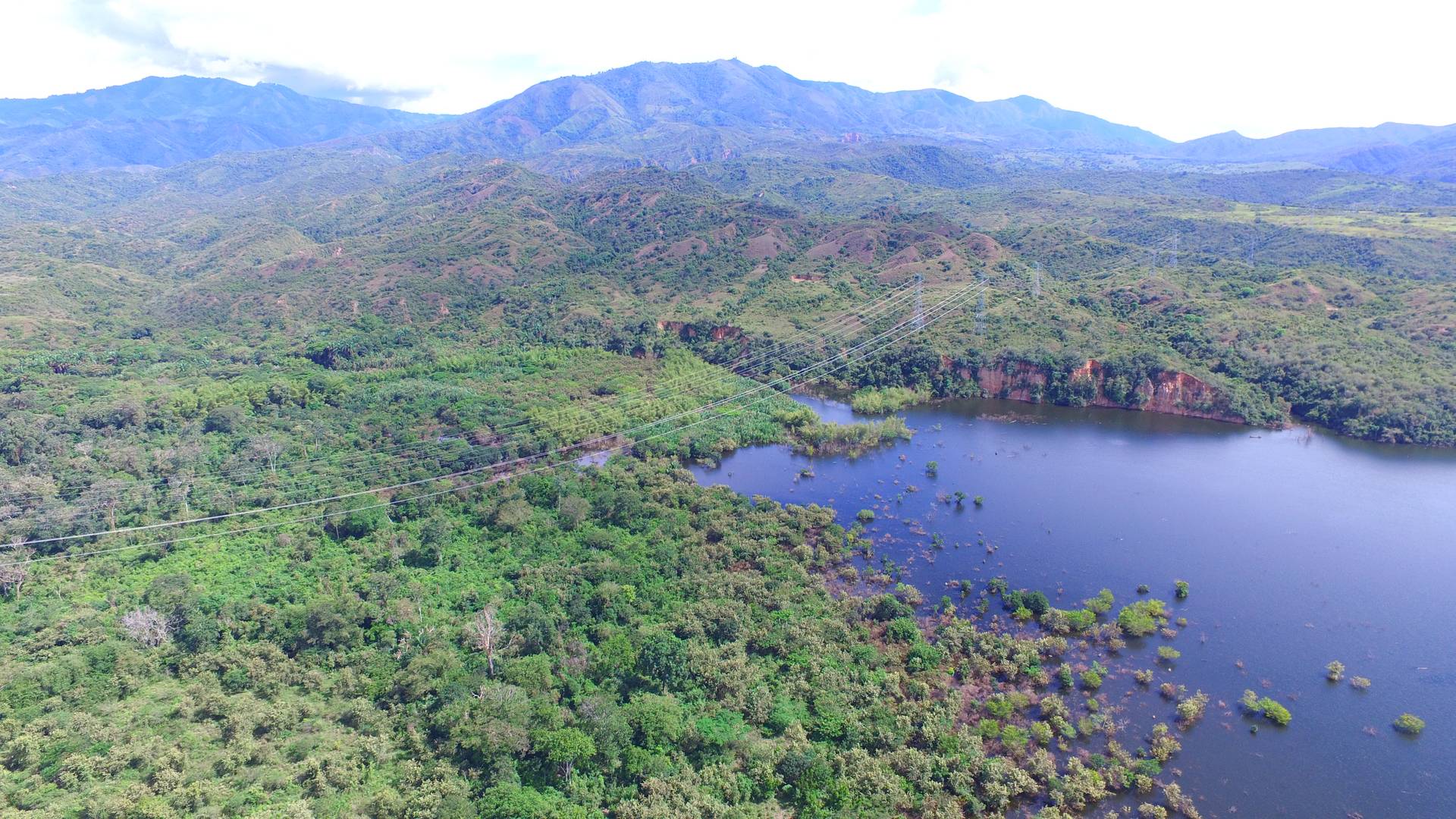 Foto Bosque Seco Tropical 1 1