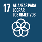 Icon of SDG 17