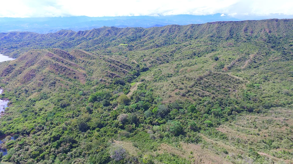 Bosque Seco Tropical de El Quimbo 6c56f