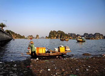 Vietnam inicia una campaña de limpieza para acabar con las...
