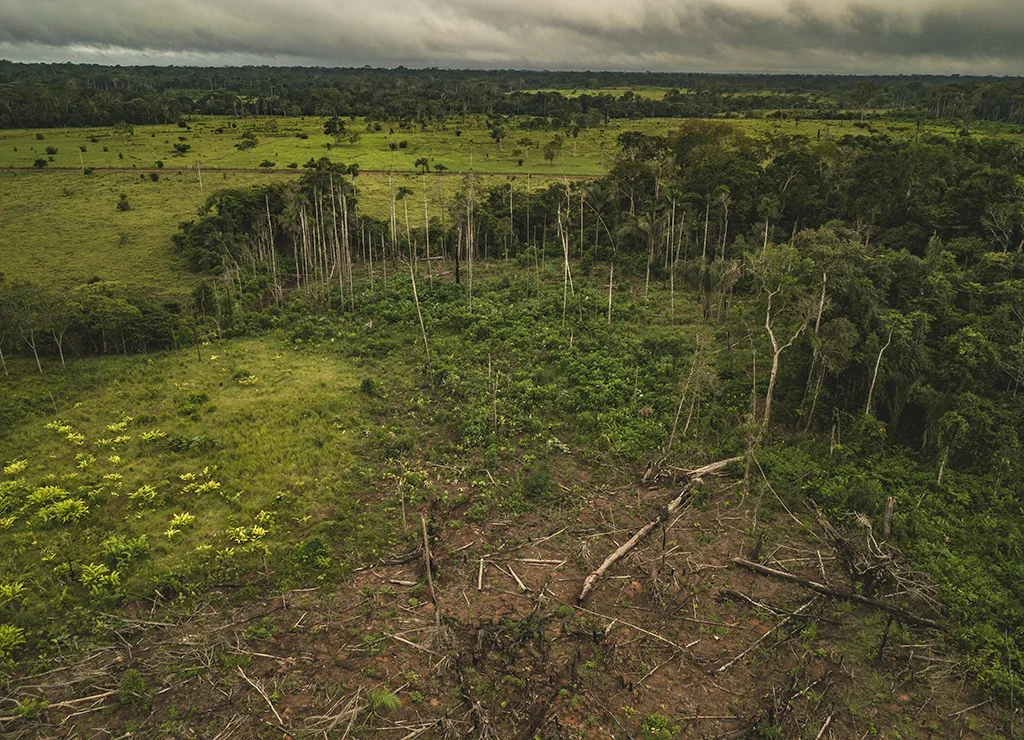 10 claves para cuidar nuestro planeta en el Día Internacional del Medioambiente