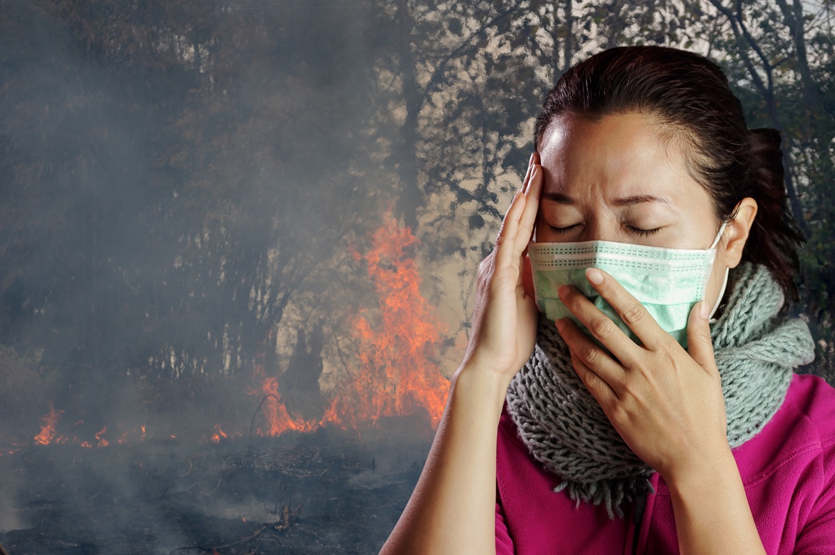 175 Foto Cambio climático mortalidad humana y humo incendios forestales 1cc96