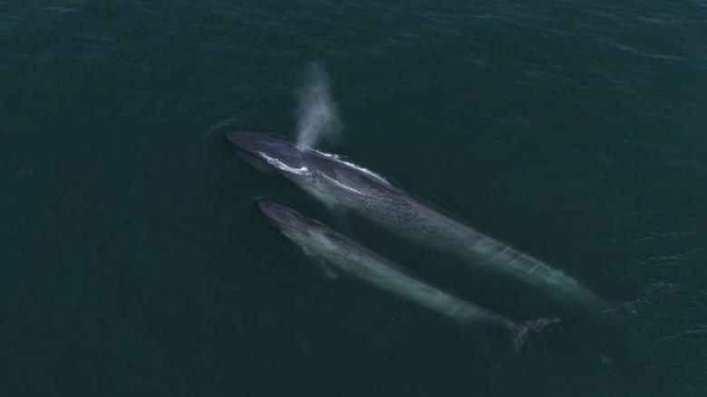 4c5b09f0 89fd 11ee a896 adfc7214b902 6e10a