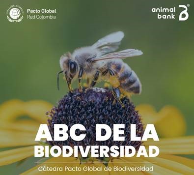 ABC Biodiversidad 9ba7f