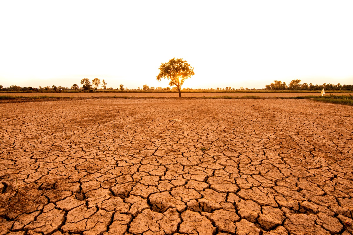 Foto cambio climático 4b7b7
