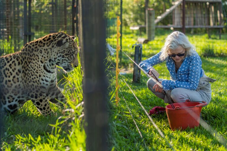 KRIS TOMPKINS AND CARATAI Sebastian Navajas 768x512 fd5a0