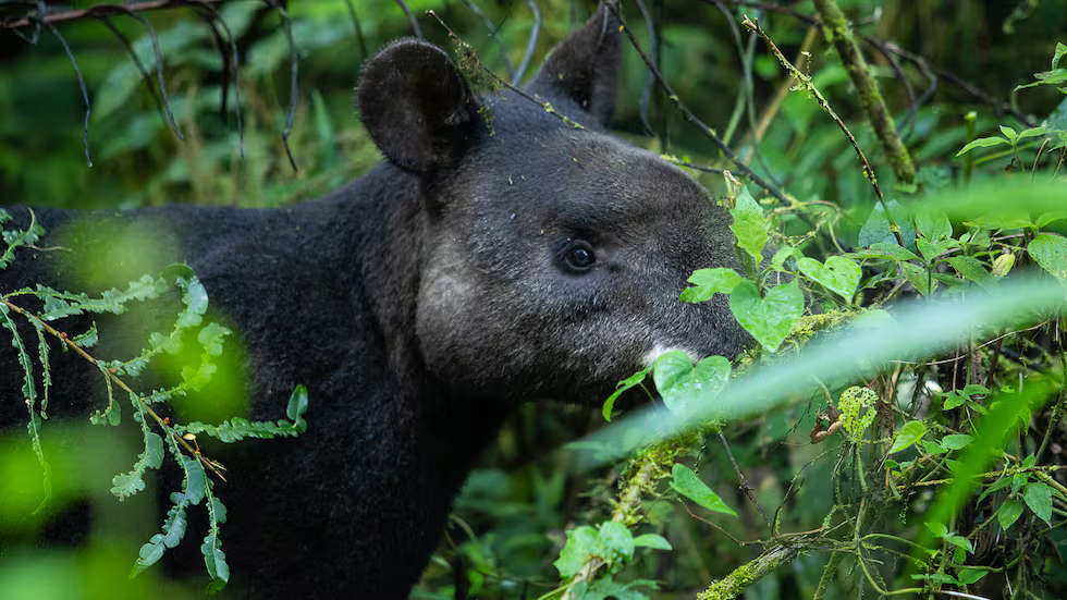 RYGPNPT3WFF7PE4WOO5VL5H47Q 5ecbd