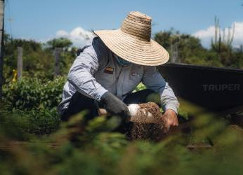 El Huila celebra que cuenta con el plan de restauración ecológica...