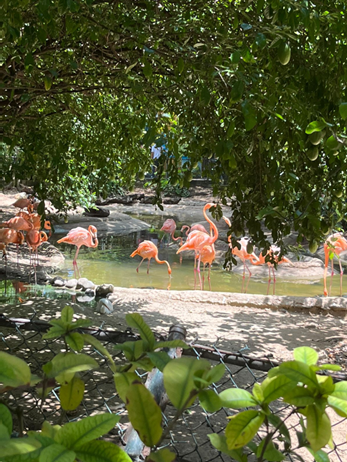 TintoBiodiversidadSep2025 04 3085e