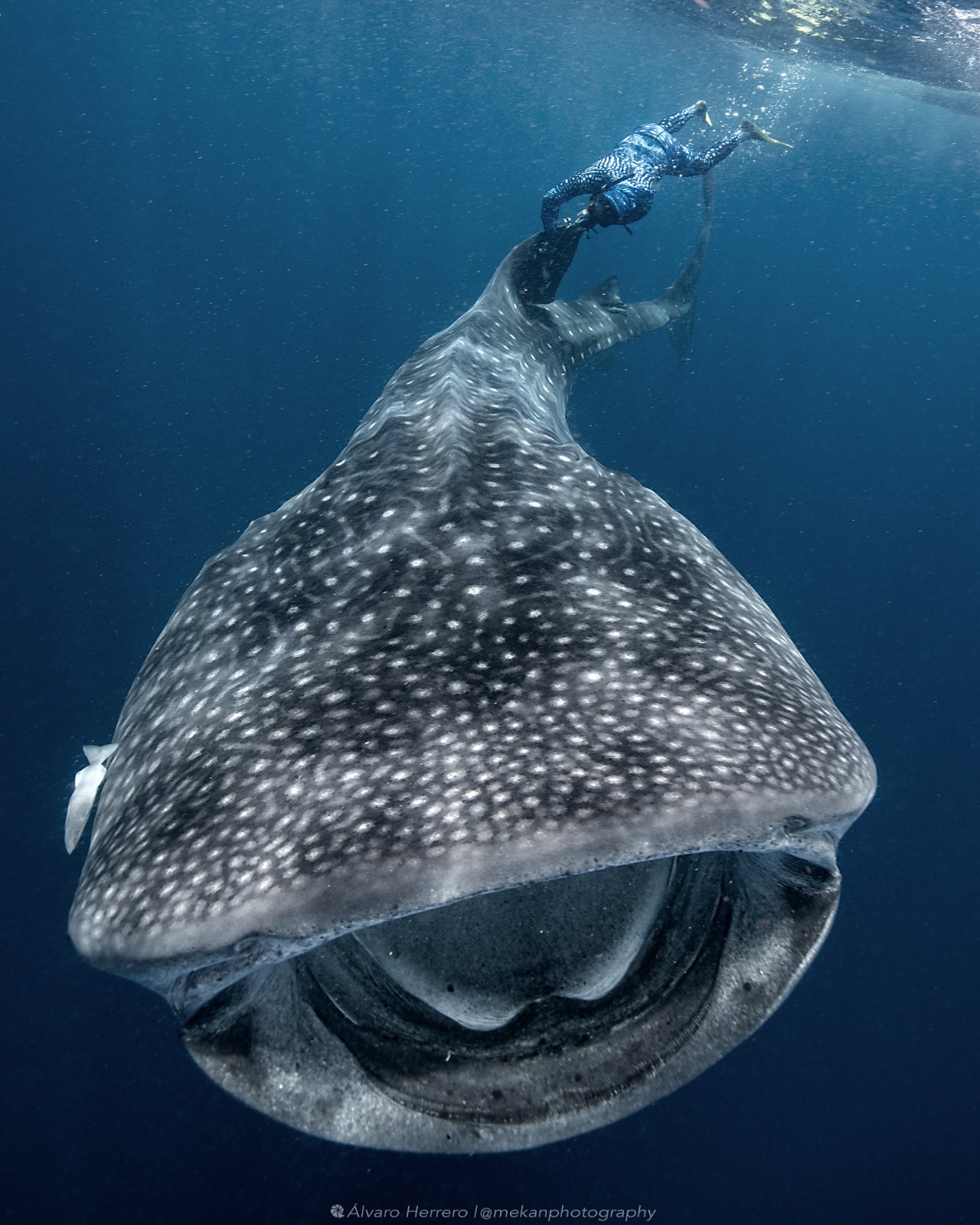 WhatsApp Image 2025 10 30 at 3.24.54 PM 2 8b2e6