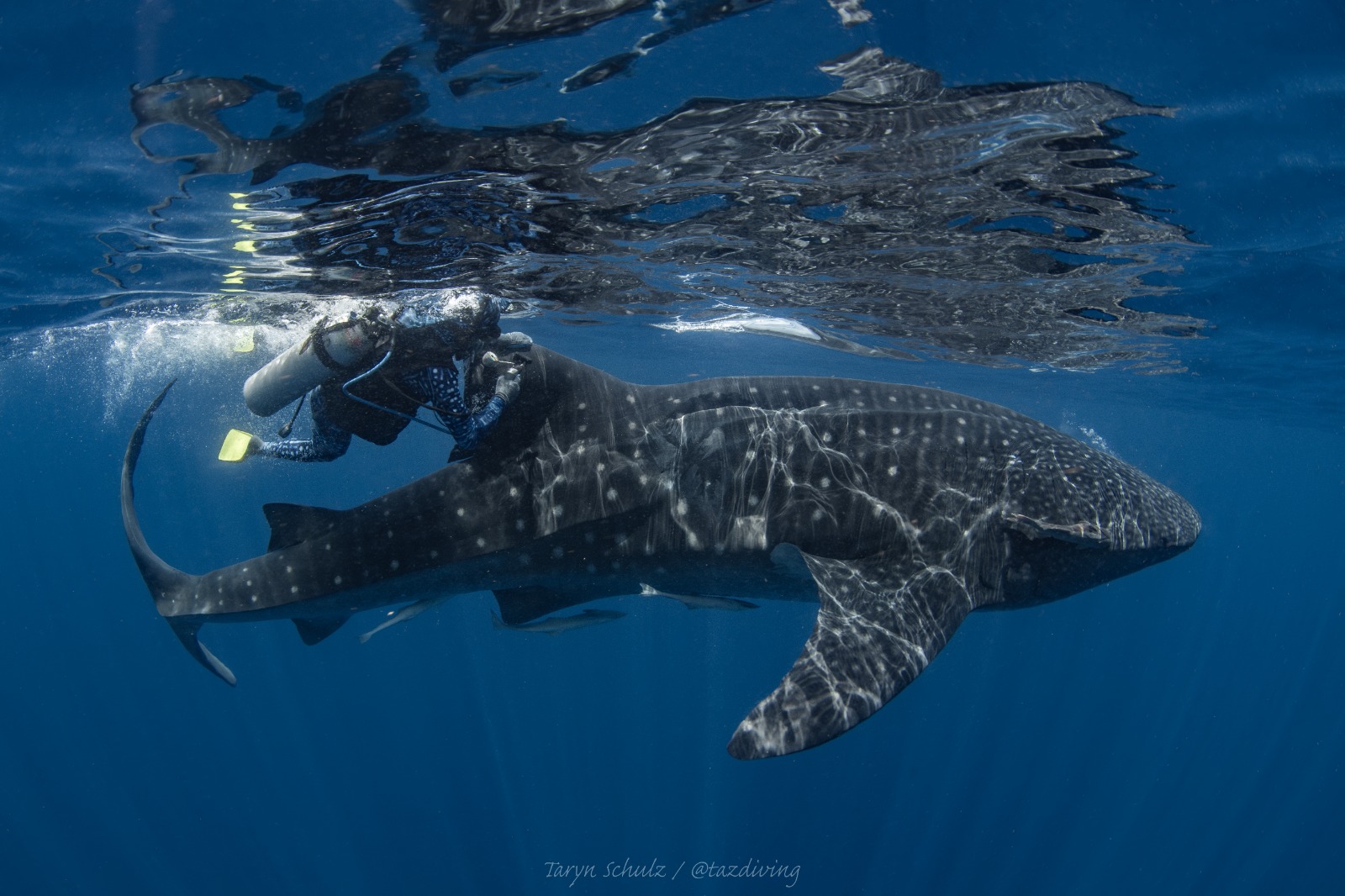 WhatsApp Image 2025 10 30 at 3.24.54 PM 9f52e