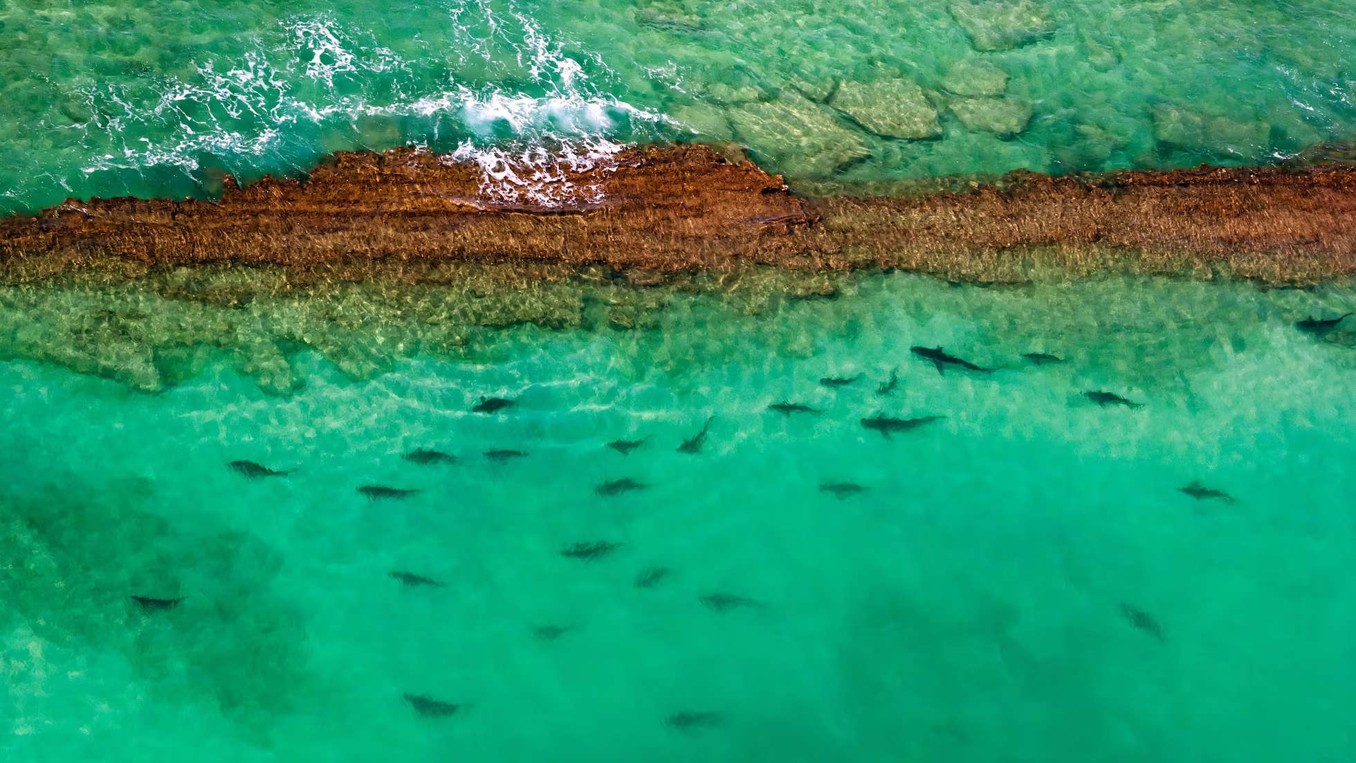 6M6ZMPAP7NGYNIAZXENZERYDRQ c5ef4