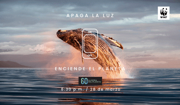 ApagaLaLuz2026 265c0