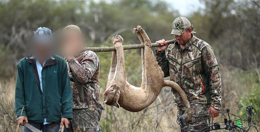 Argentina 8 Foto Facebook de JasonBruceHeadhunter Chronicles 082fe