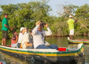 Biodiversidad en jaque: el reto global que redefine el desarrollo...