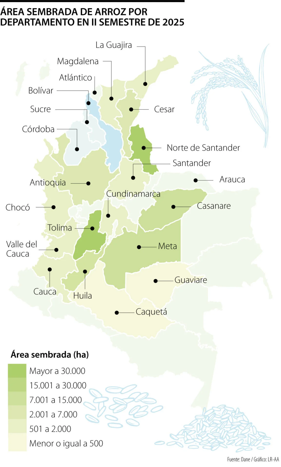 Eco AreaSembradaArroz Pg4 scaled a4a40