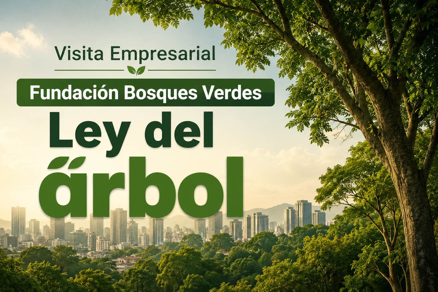 InvitacionBosquesVerdes cf2c8