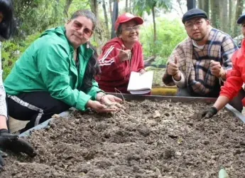 SIEMBRA DE ESPECIES NATIVAS Y CREACIÓN DE CORREDORES DE...