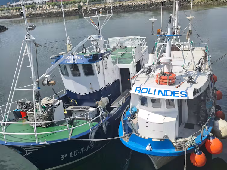 file 20260120 56 pjjb8q 4f37f