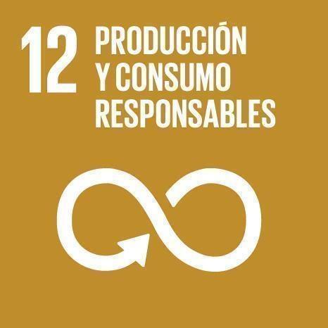 ODS Producción y Consumo Responsables