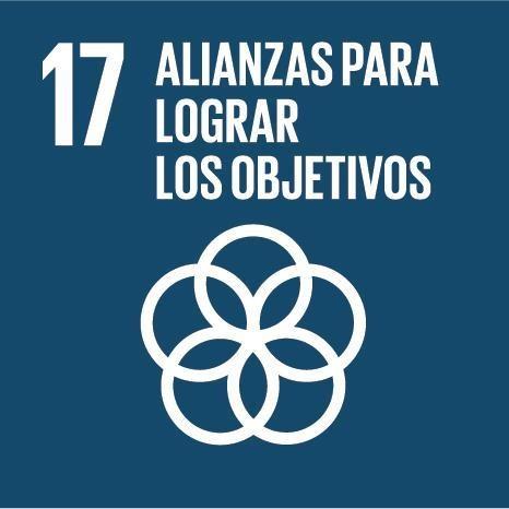 ODS 17 Alianzas Para Lograr Los Objetivos
