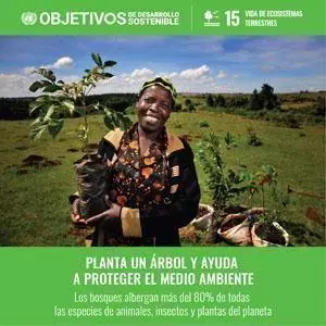 Objetivo 15: Vida de ecosistemas terrestres