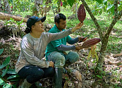 Alianzas para la resiliencia y el desarrollo sostenible de más  de 2.000 familias cacaocultoras