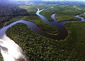 Natura consolida su liderazgo en sostenibilidad al cumplir anticipadamente metas ESG y fortalecer su modelo regenerativo