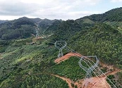 1.000 km para energías limpias: ISA en Brasil culmina proyecto clave para el país, 16 meses antes de lo previsto
