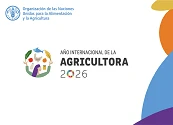 “Agricultoras que inspiran”: FAO lanza campaña permanente en el Año Internacional de la Agricultora